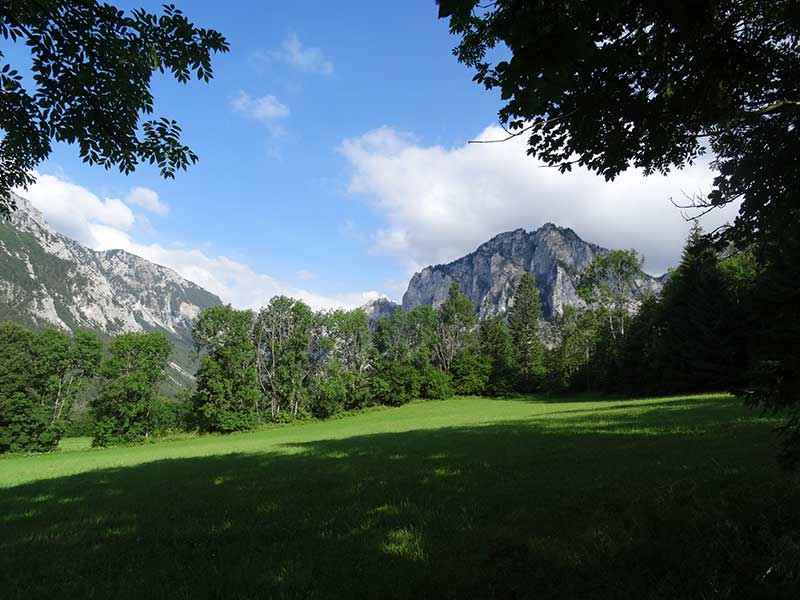 Buchbergkogel